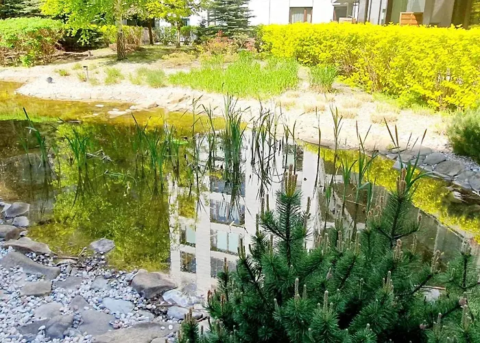 Apartment Homecomfort Boho